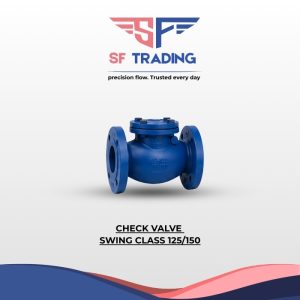 Check Valve Swing Class 125/150