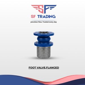 Foot Valve Flanged