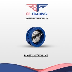 Plate Check Valve